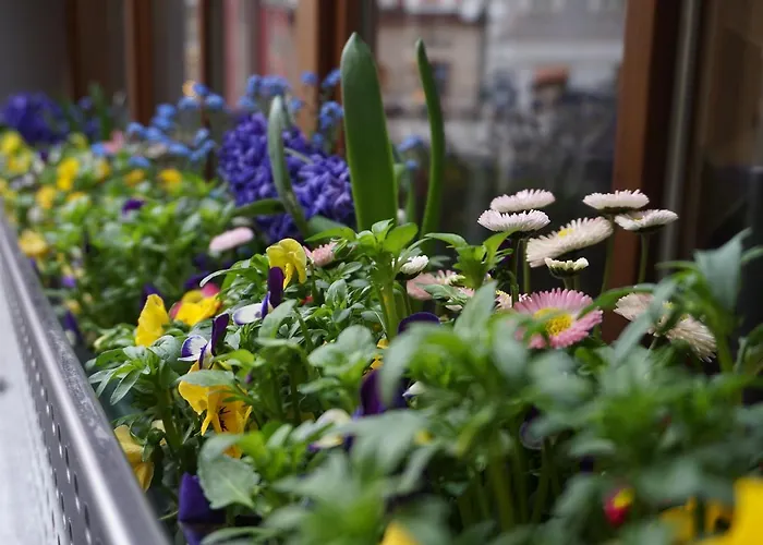 Jugendgaestehaus Бад-Ишль